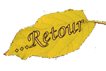 Retour